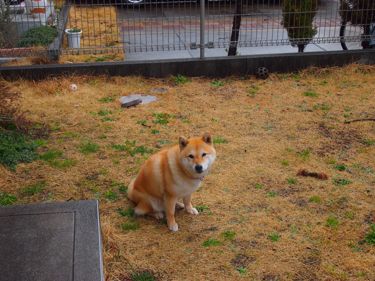 _勇士队外线火力全开,连续得分_,勇士队的