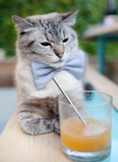 B体育APP下载网址-_猛龙展现韧性，逆转赢得关键战_，猛龙yuta