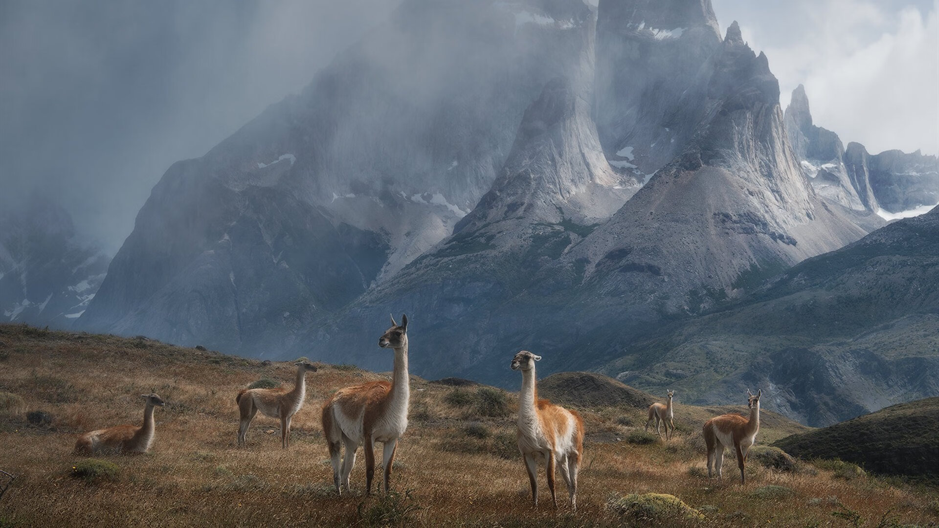 b体育平台-《王者荣耀季中冠军赛，战场硝烟四起》，王者荣耀夏季赛冠军杯