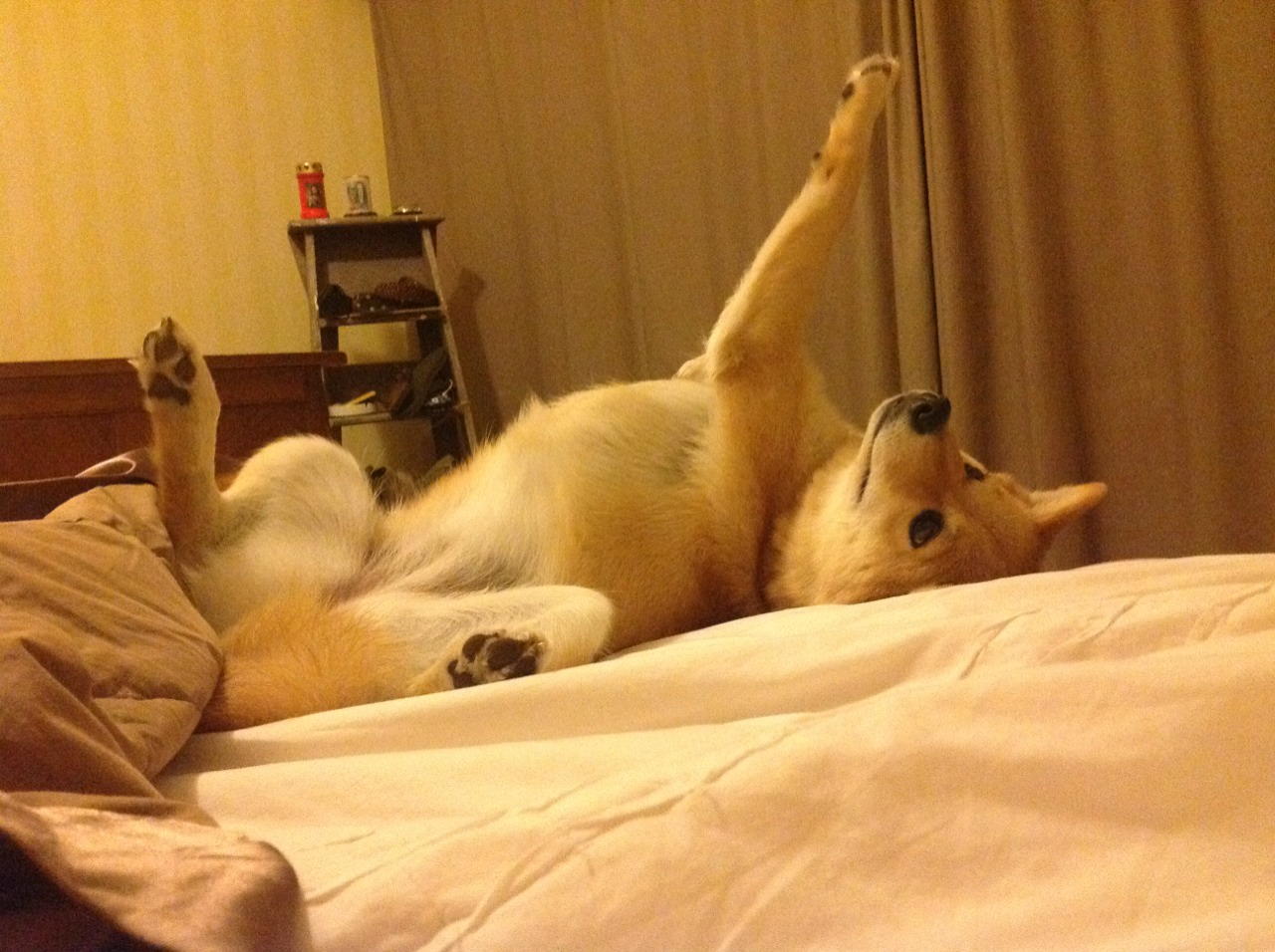 全球极限骑行挑战,穿越世界各大风景名胜,骑行挑战自己挑战极限