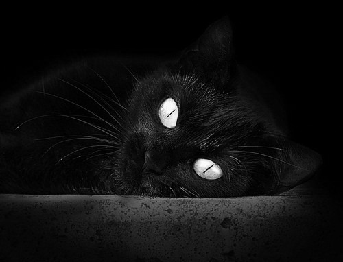 LCS加强青训体系建设,青训理念