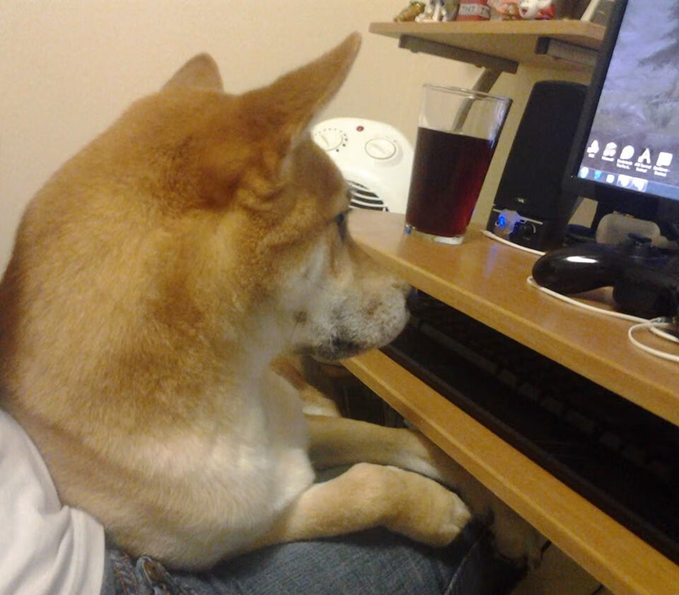 红海部落：多特蒙德将挑战雄心沙尔克，多特蒙德hazard