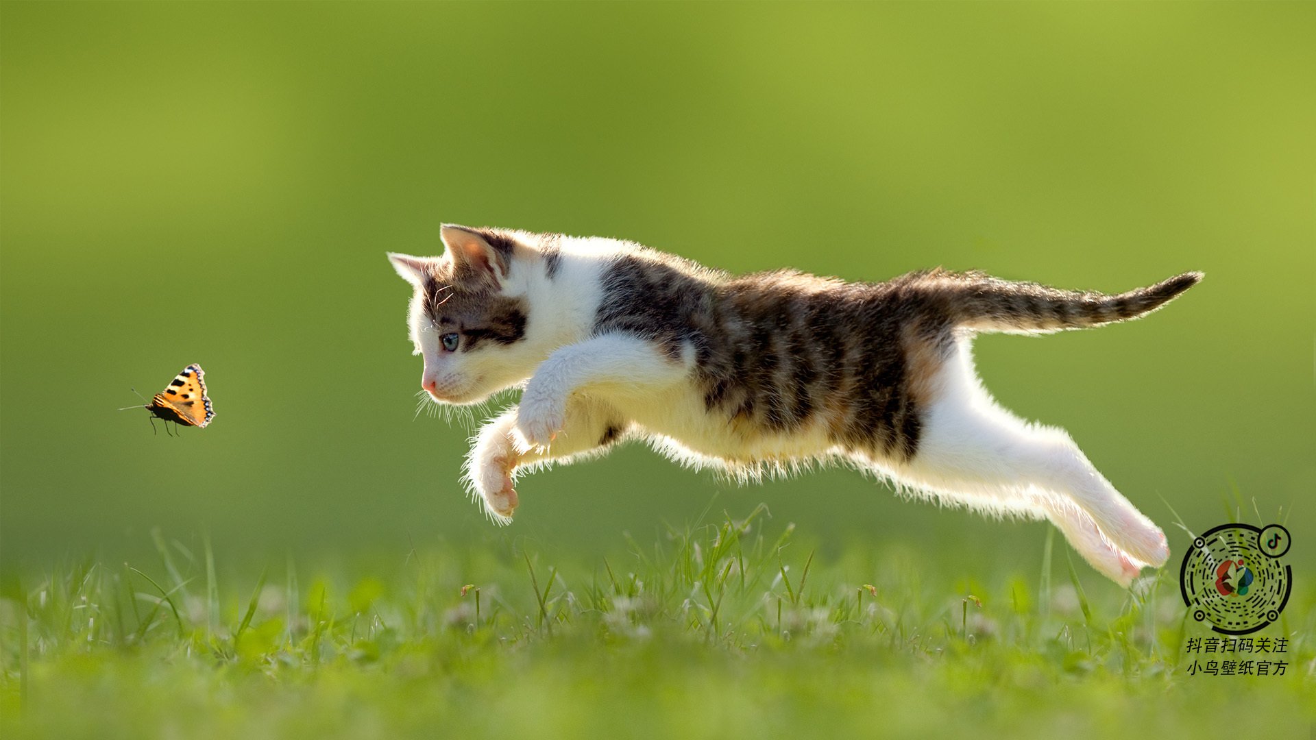 马略卡客场战平毕尔巴鄂,取得关键一分,马略卡岛百科