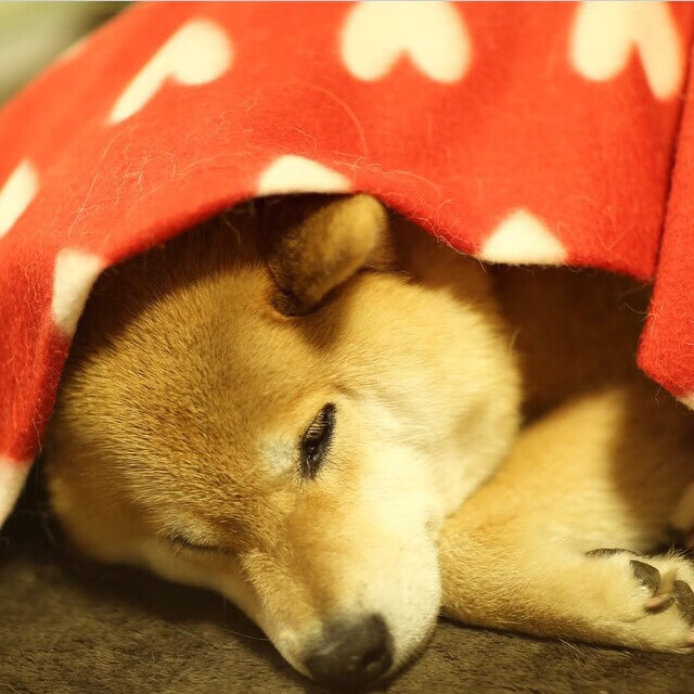 西甲球队通过体感监测设备优化中场强度分布结构，西甲 球场