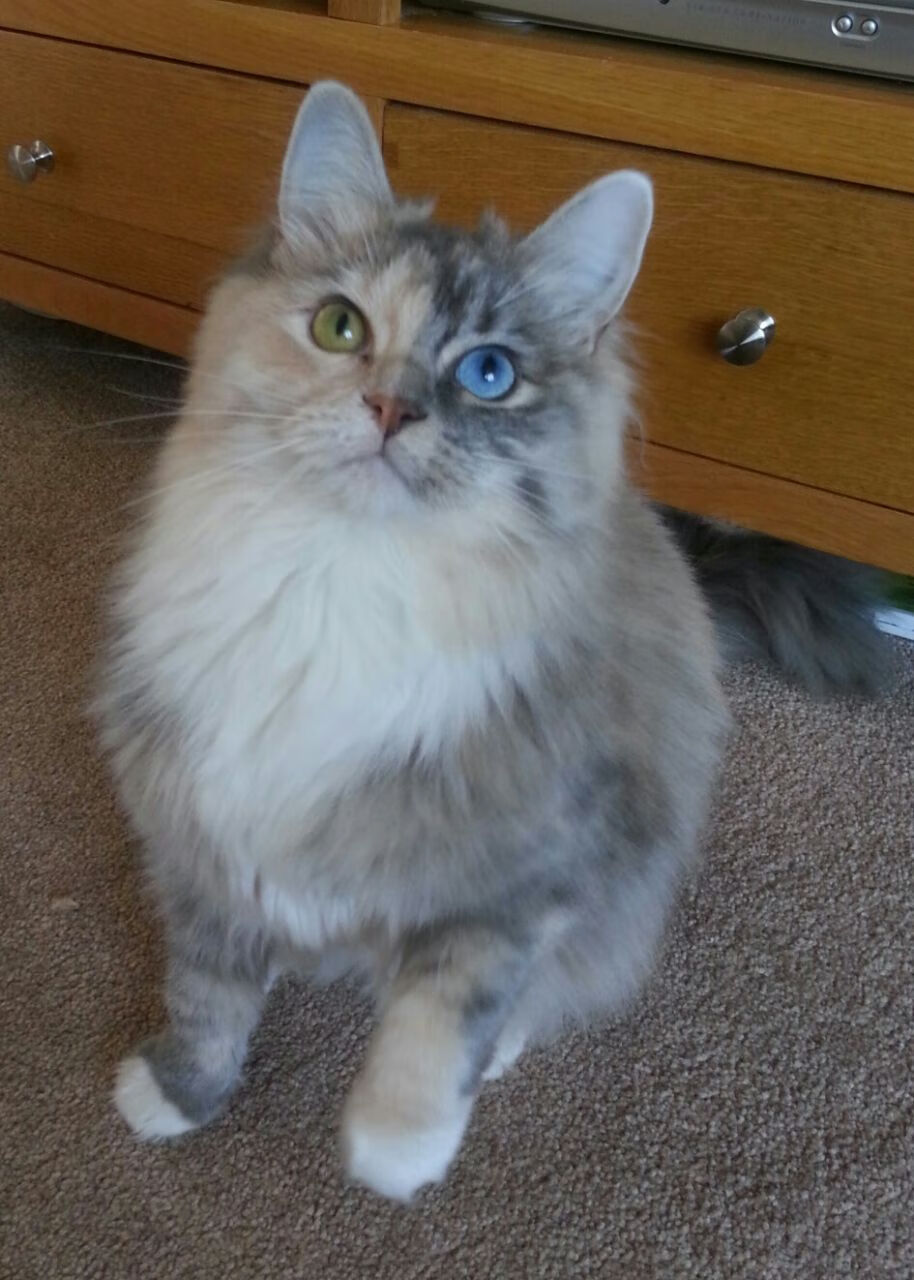 “龙泉驿区东安湖体育公园：水上赛事精彩纷呈，成观众新宠”