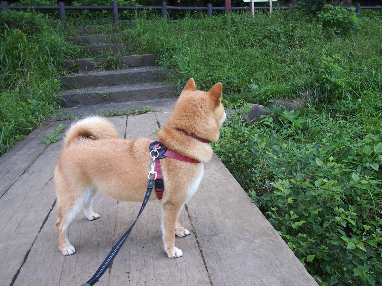 体育新闻中心联合科研机构开展体育内容影响力评估，体育科研热点问题