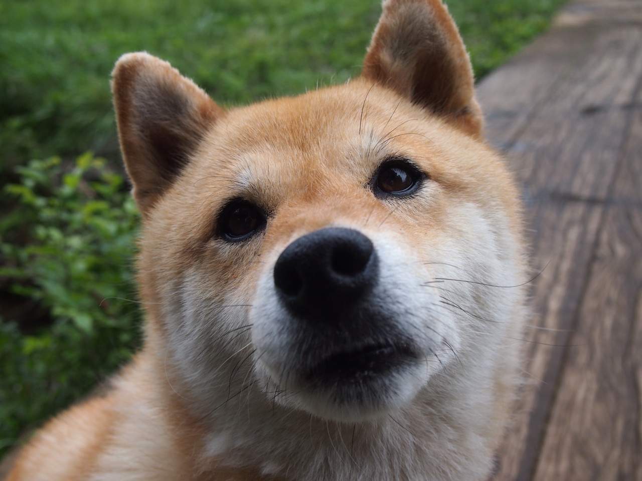 bsport-埃及赛制分析：如何通过细节设计优化运动员的竞技体验，埃及的比赛会赢吗