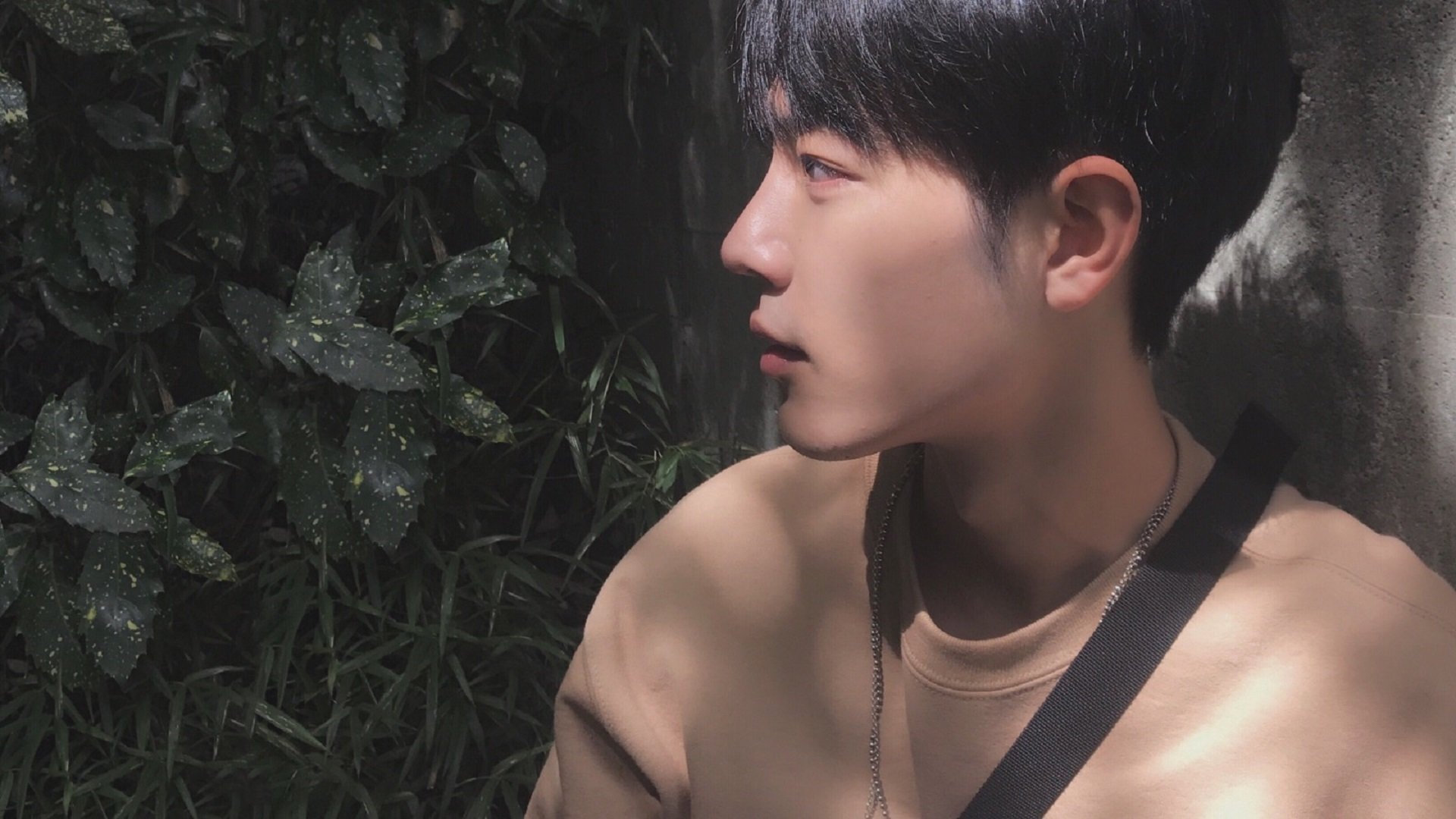 总冠军球队如何走出卫冕之路，总冠军多的角色球员