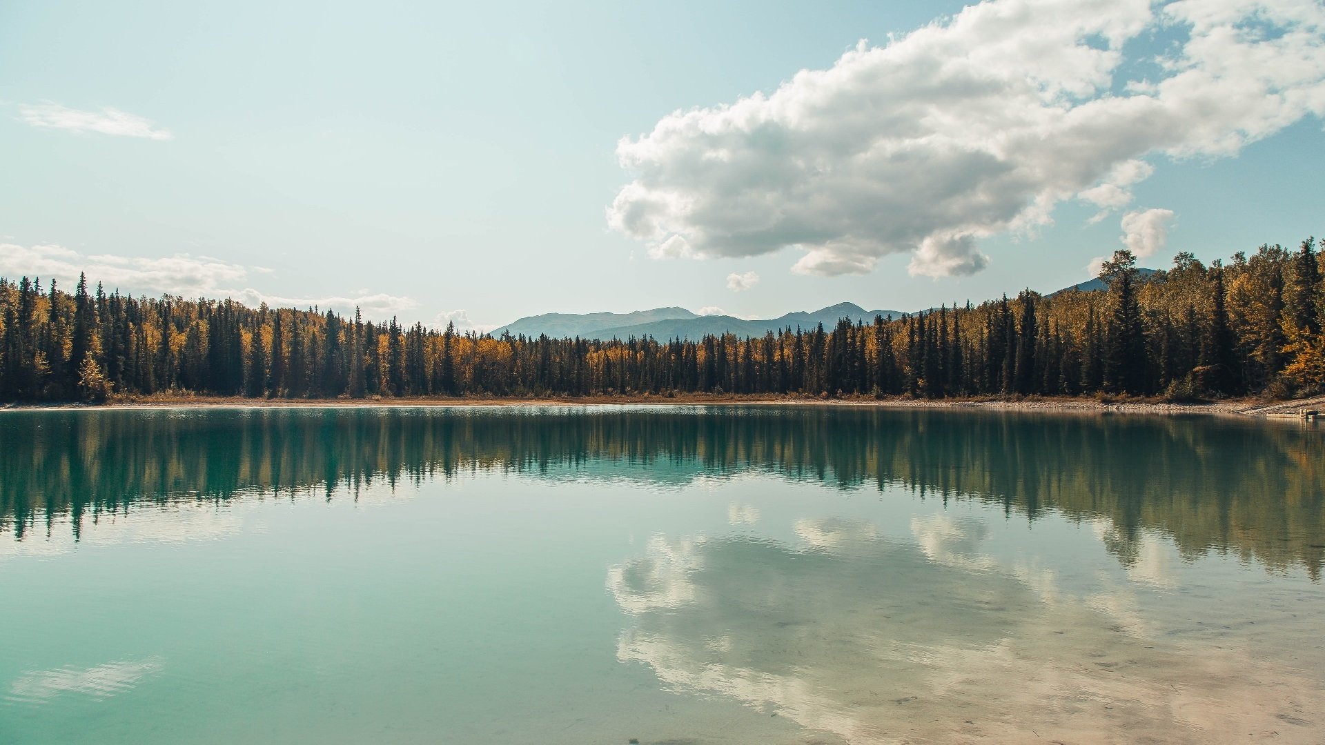 节奏节奏节奏是否为现代篮球核心关键之一，篮球节奏打法
