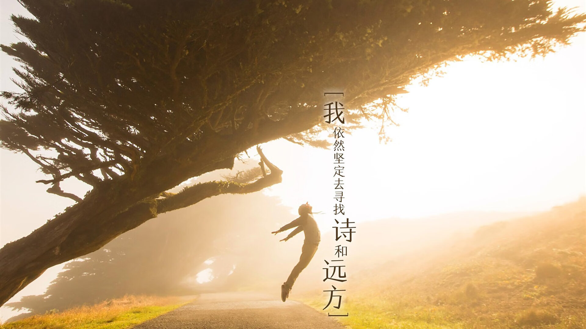 凯瑟琳·伯科夫赛后感谢团队支持,凯瑟琳波尔科维奇