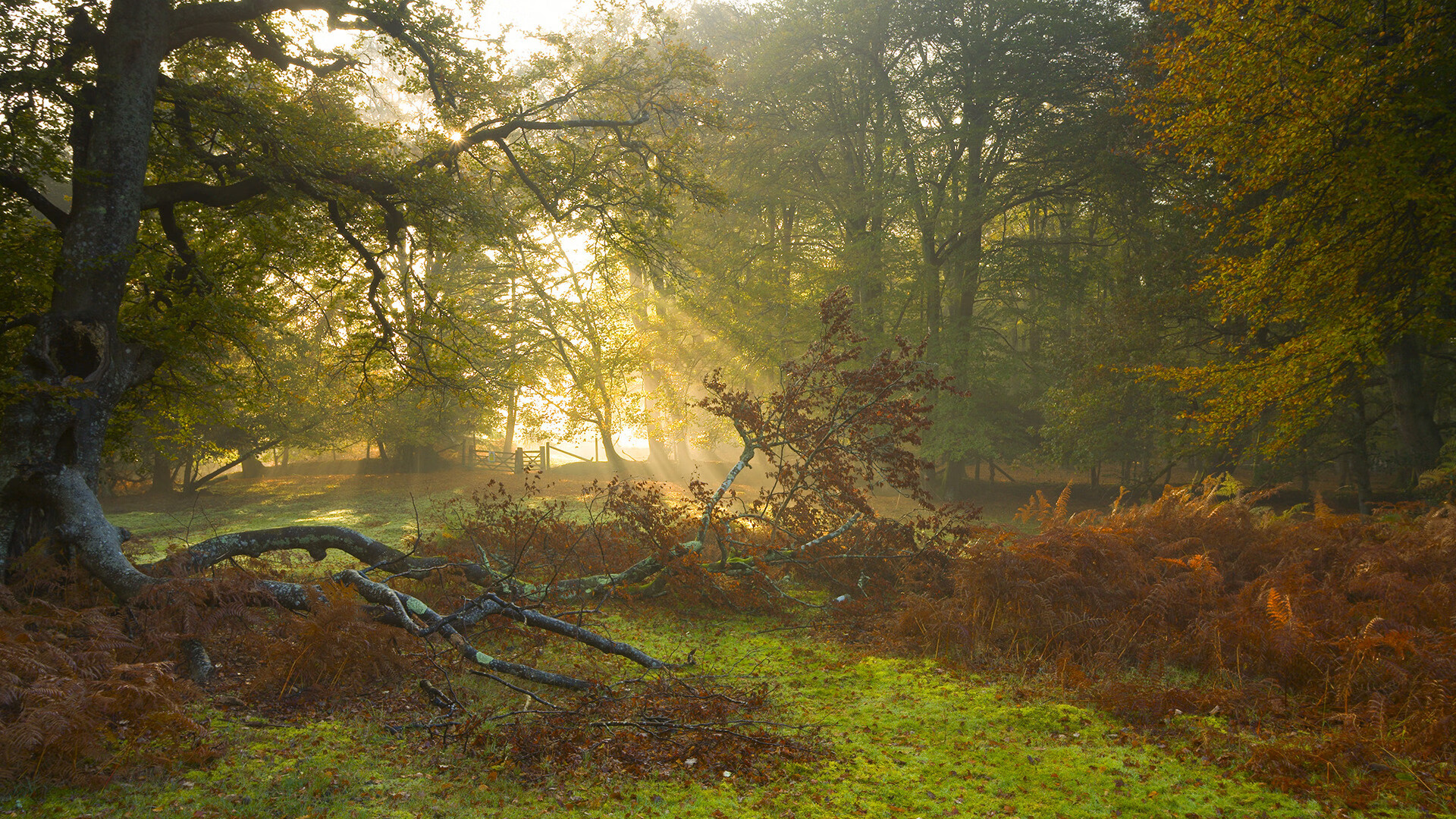 城市联赛试行多级晋升机制增强竞争性与荣誉感,城市赛算职业吗
