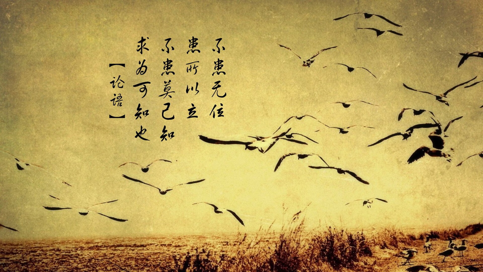 B体育APP下载网址-澳大利亚传奇麦克沃伊再攀高峰，澳大利亚麦克布莱德