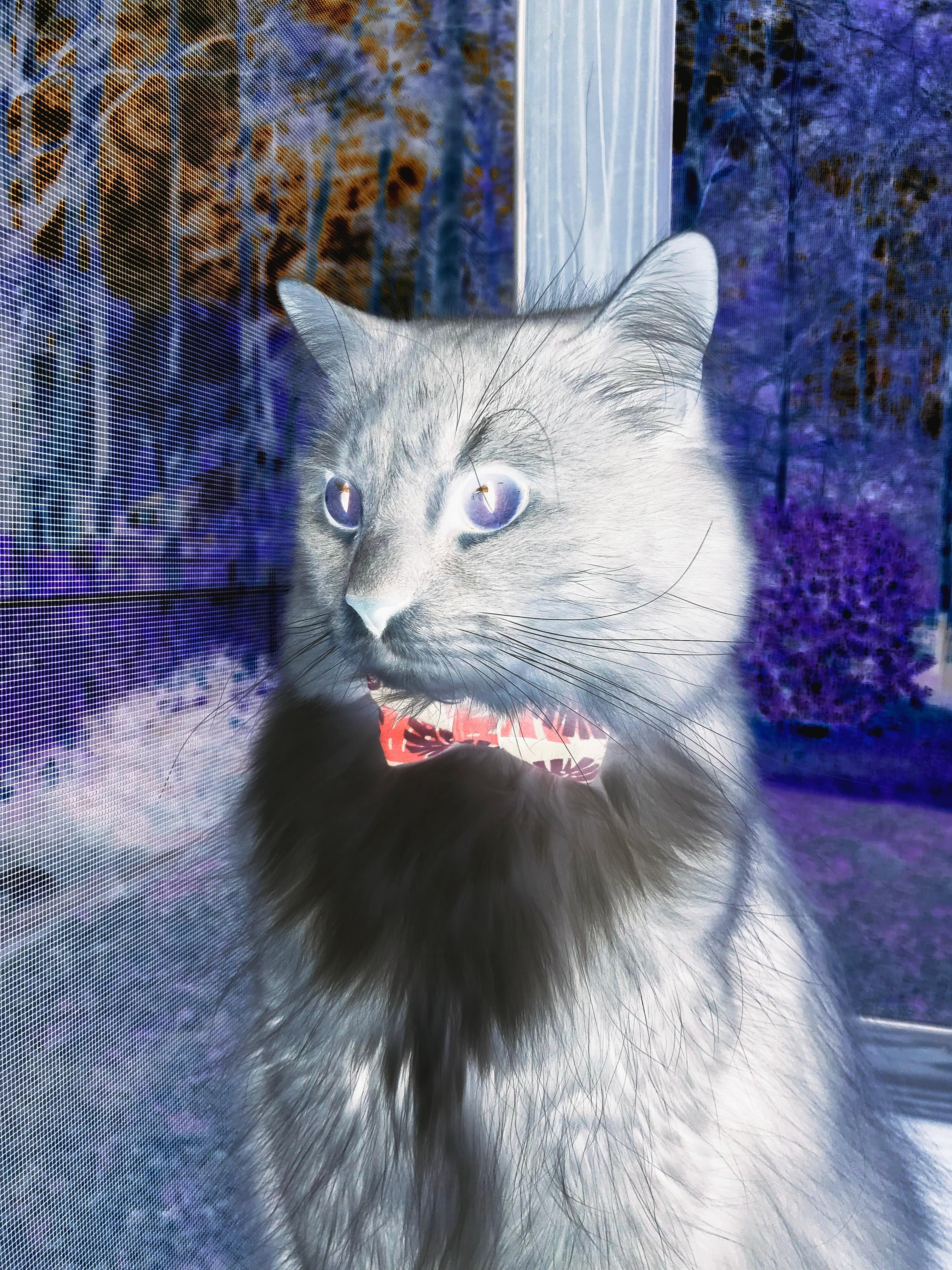 B体育(中国)官方网站-西甲激情迸发：精彩突破、绝杀不断！，西甲 视频